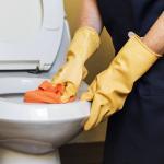 toilet bowl cleaning MoProClean